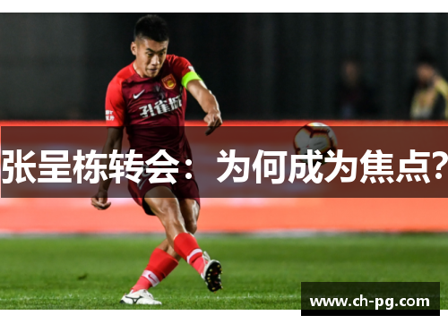 张呈栋转会：为何成为焦点？