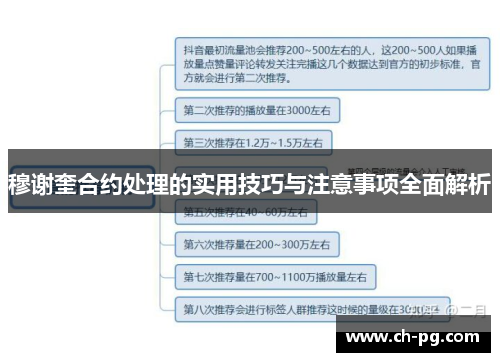 穆谢奎合约处理的实用技巧与注意事项全面解析