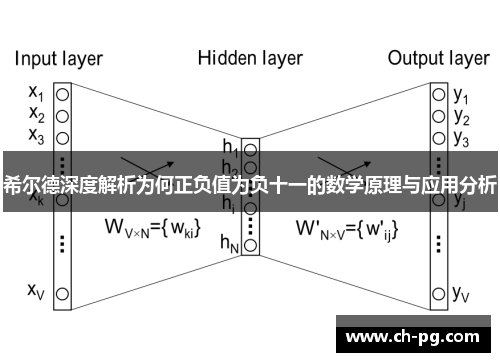希尔德深度解析为何正负值为负十一的数学原理与应用分析