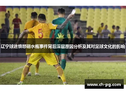 辽宁球迷愤怒砸水瓶事件背后深层原因分析及其对足球文化的影响