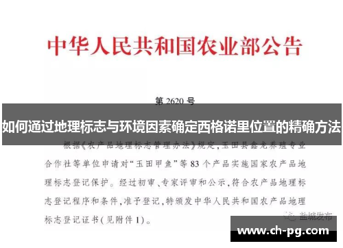 如何通过地理标志与环境因素确定西格诺里位置的精确方法