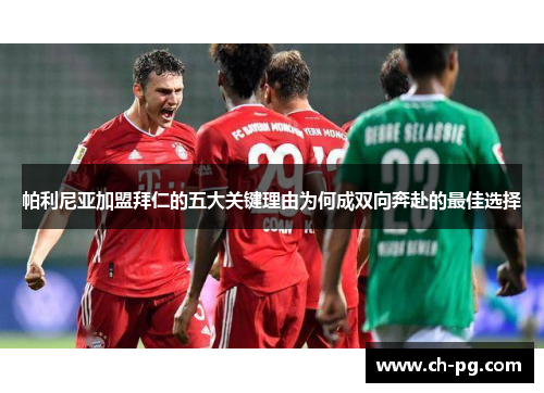 帕利尼亚加盟拜仁的五大关键理由为何成双向奔赴的最佳选择