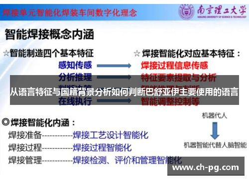 从语言特征与国籍背景分析如何判断巴舒亚伊主要使用的语言