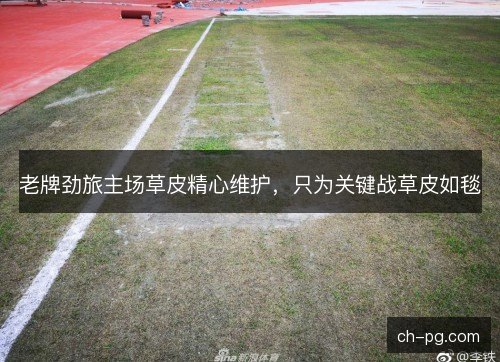 老牌劲旅主场草皮精心维护，只为关键战草皮如毯